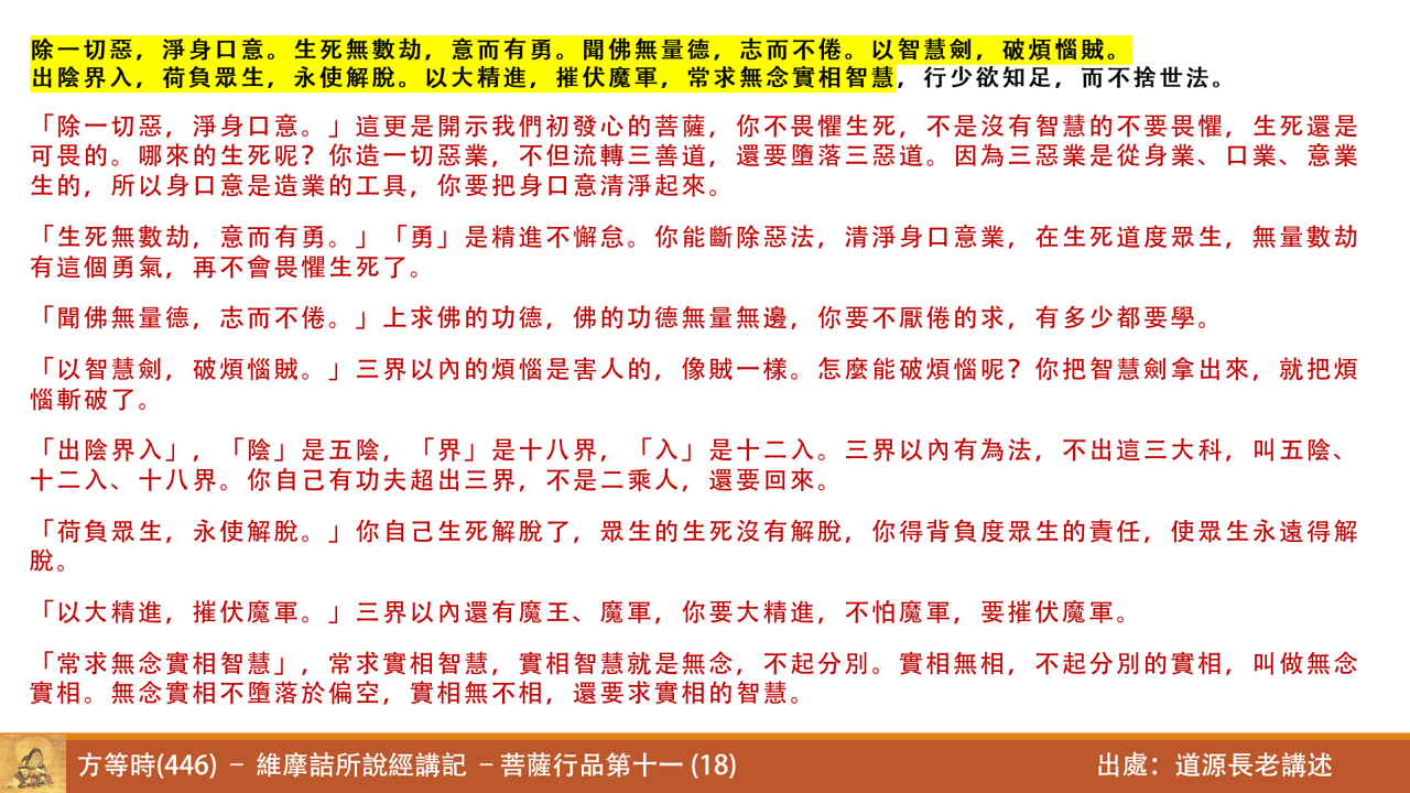維446