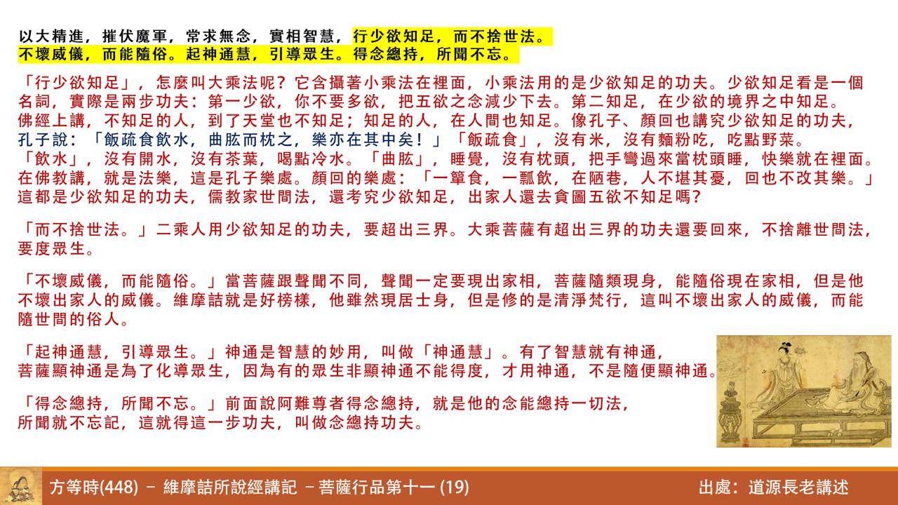 維448
