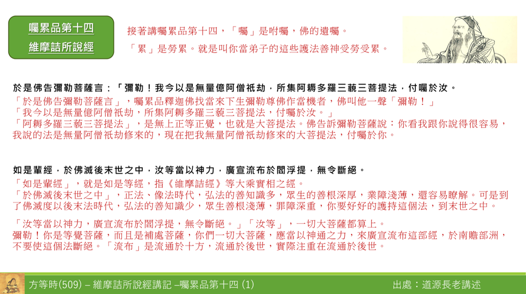 維509